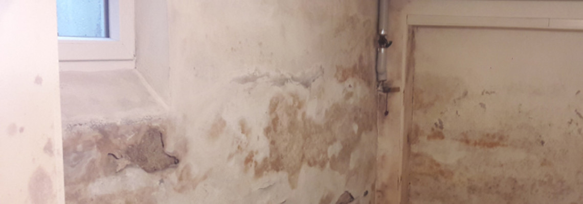 Miért fontos a pince párátlanítása nyáron is?