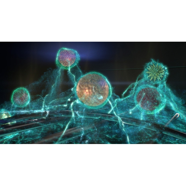 Blueair Partikelfilter Sense